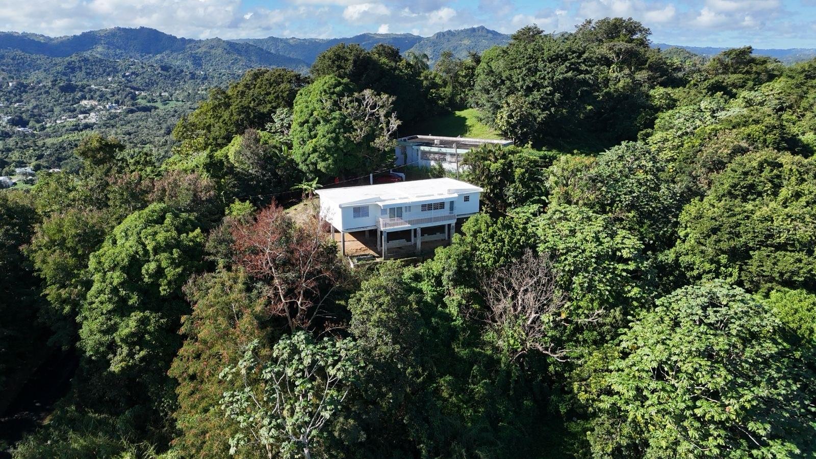 BO MAMEY - Residential