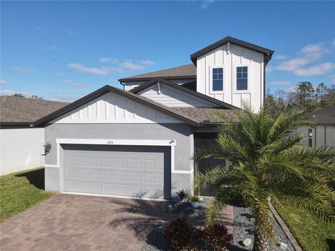 3133 CRAB TRAP DRIVE NEW SMYRNA BEACH FL 32168