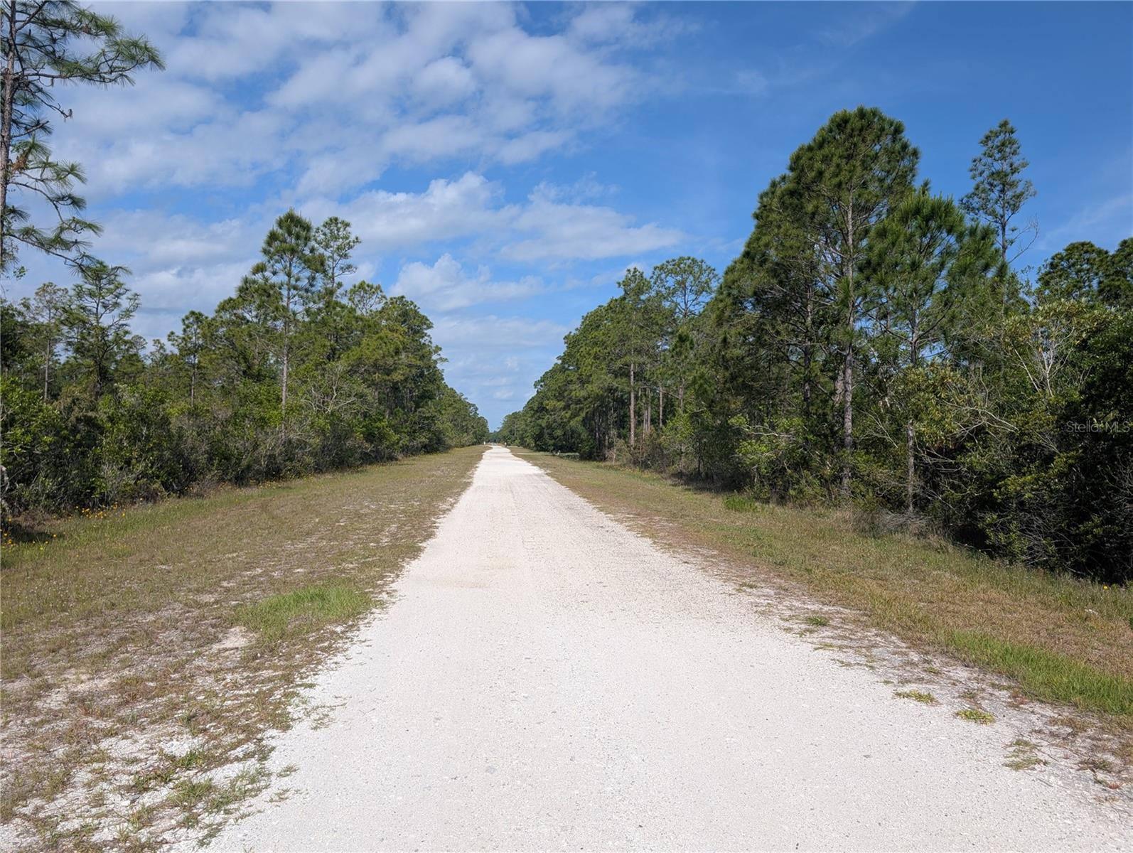 INDIAN LAKE ESTATES - Land