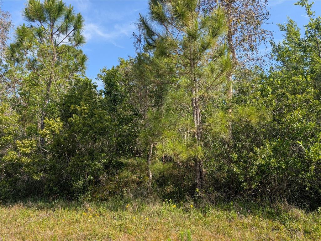 Photo of 704 Orchid Drive, Indian Lake Estates, FL 33855 (MLS # P4938629)