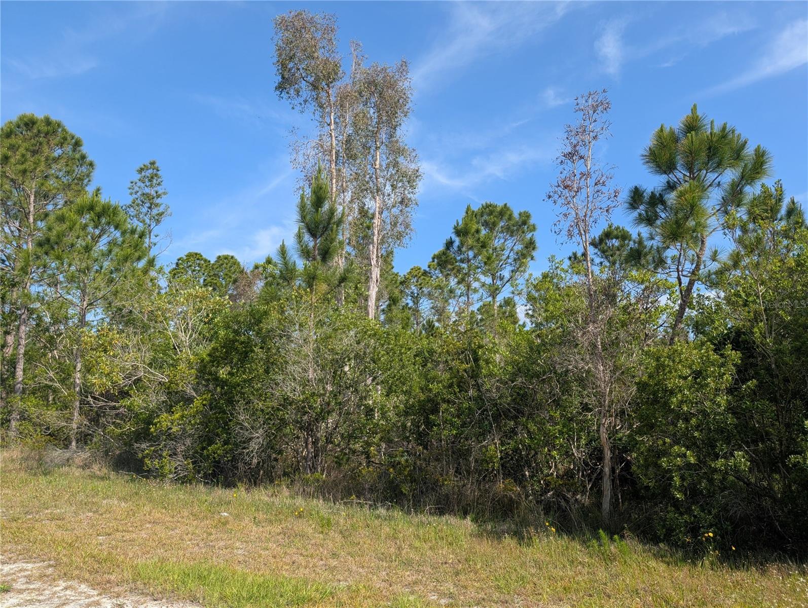 INDIAN LAKE ESTATES - Land