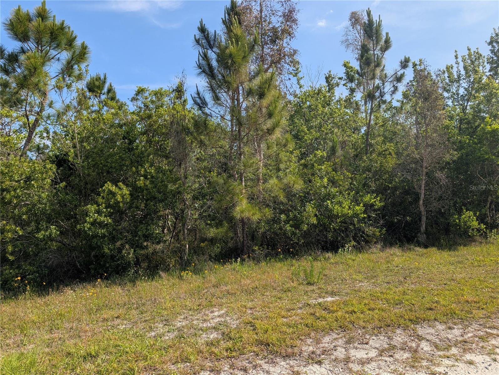 INDIAN LAKE ESTATES - Land