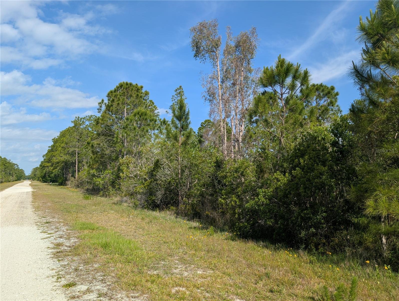 INDIAN LAKE ESTATES - Land