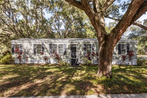 Photo of 14233 Tassleflower Court, Astatula, FL 34705 (MLS # O6358918)