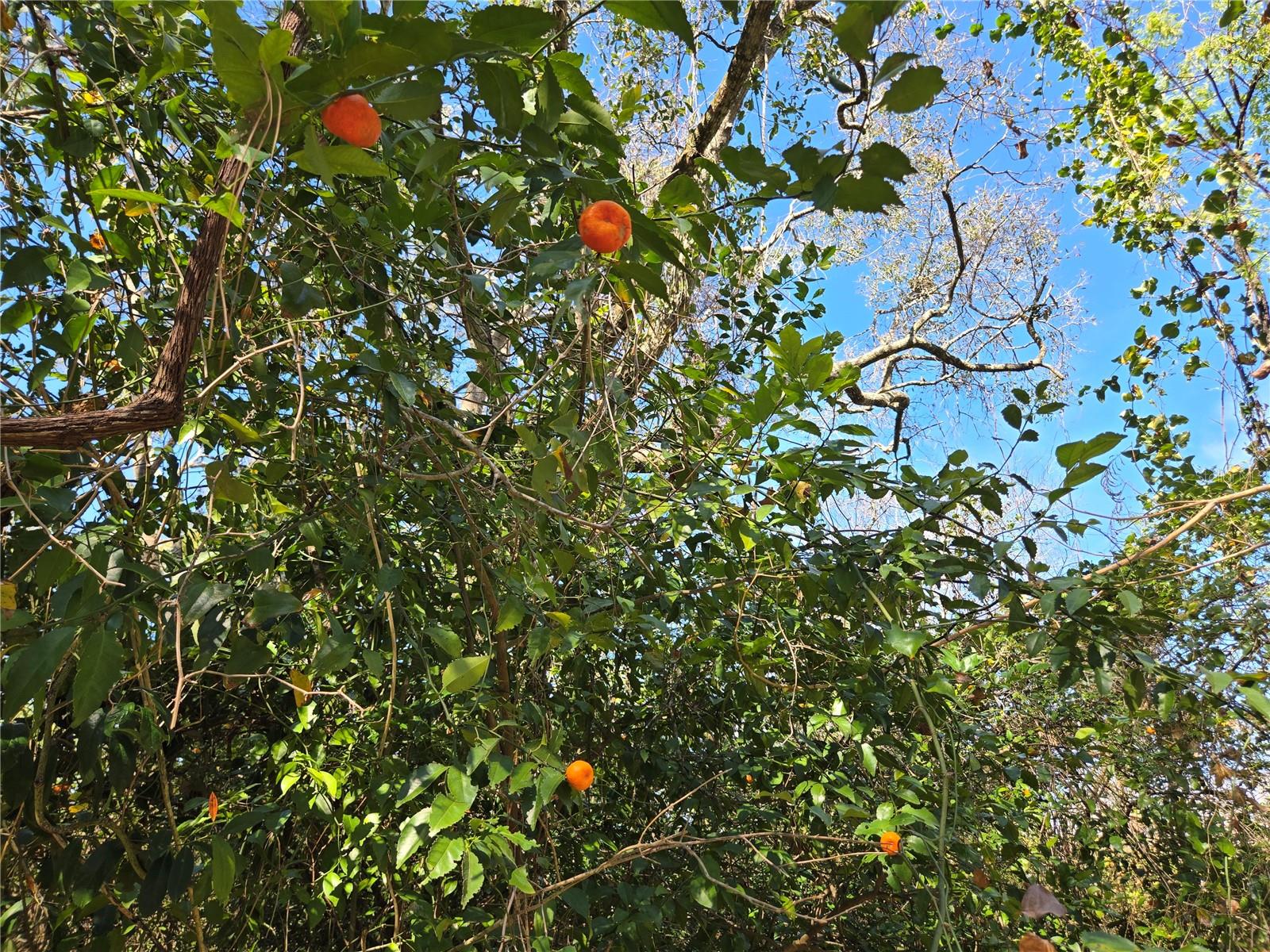 UNINCORPORATED - Land