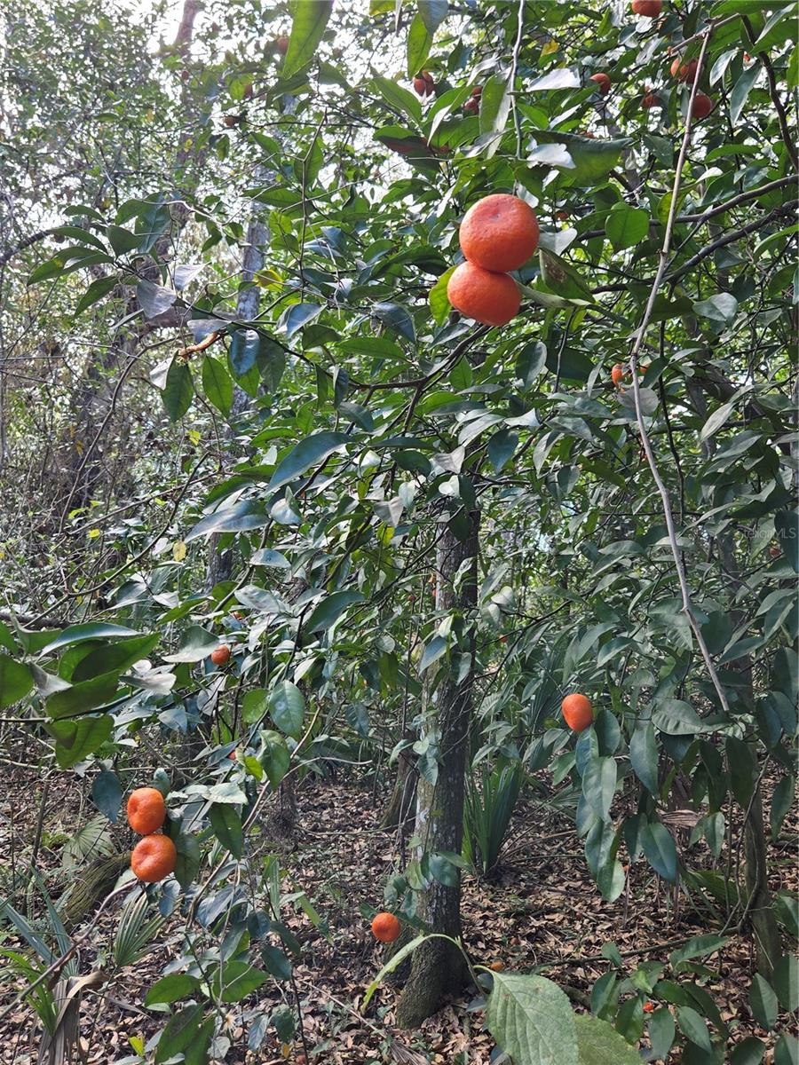 UNINCORPORATED - Land