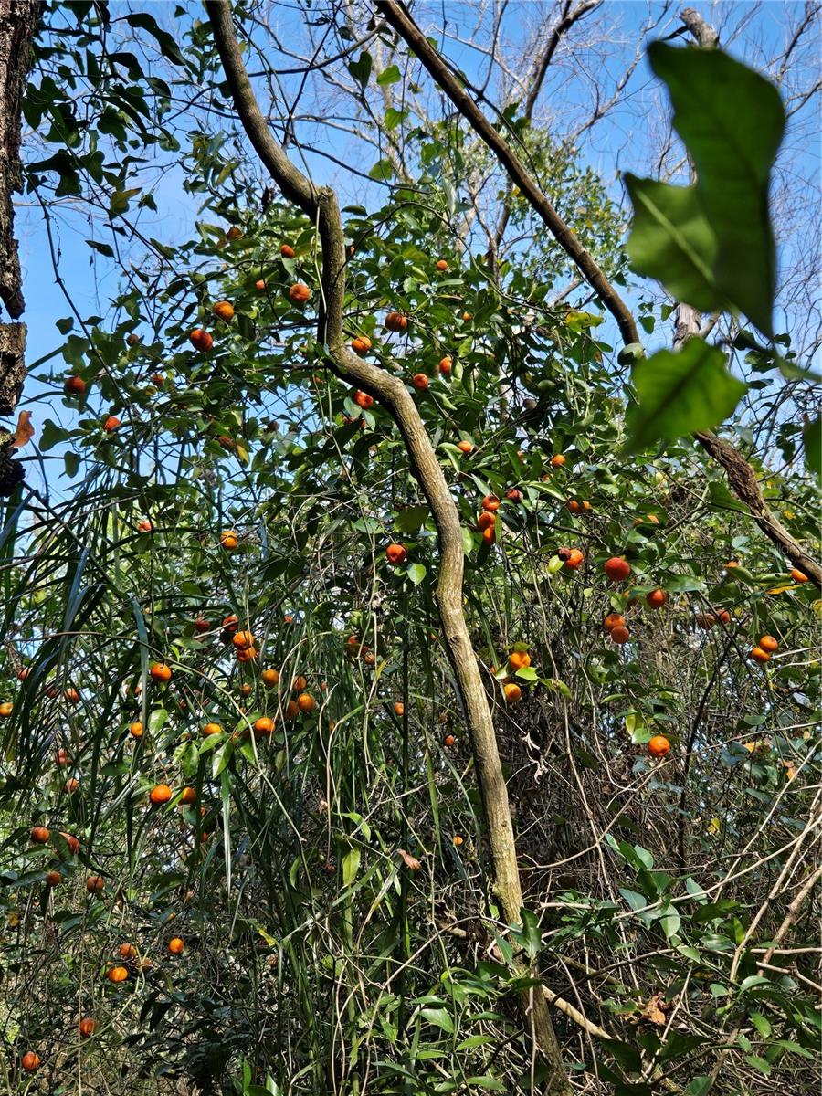 UNINCORPORATED - Land