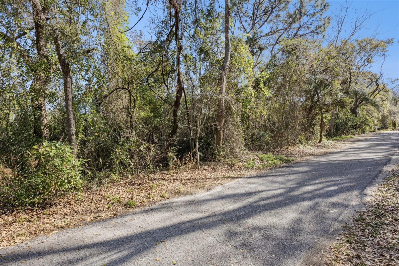 000 MAGNOLIA CREEK LANE