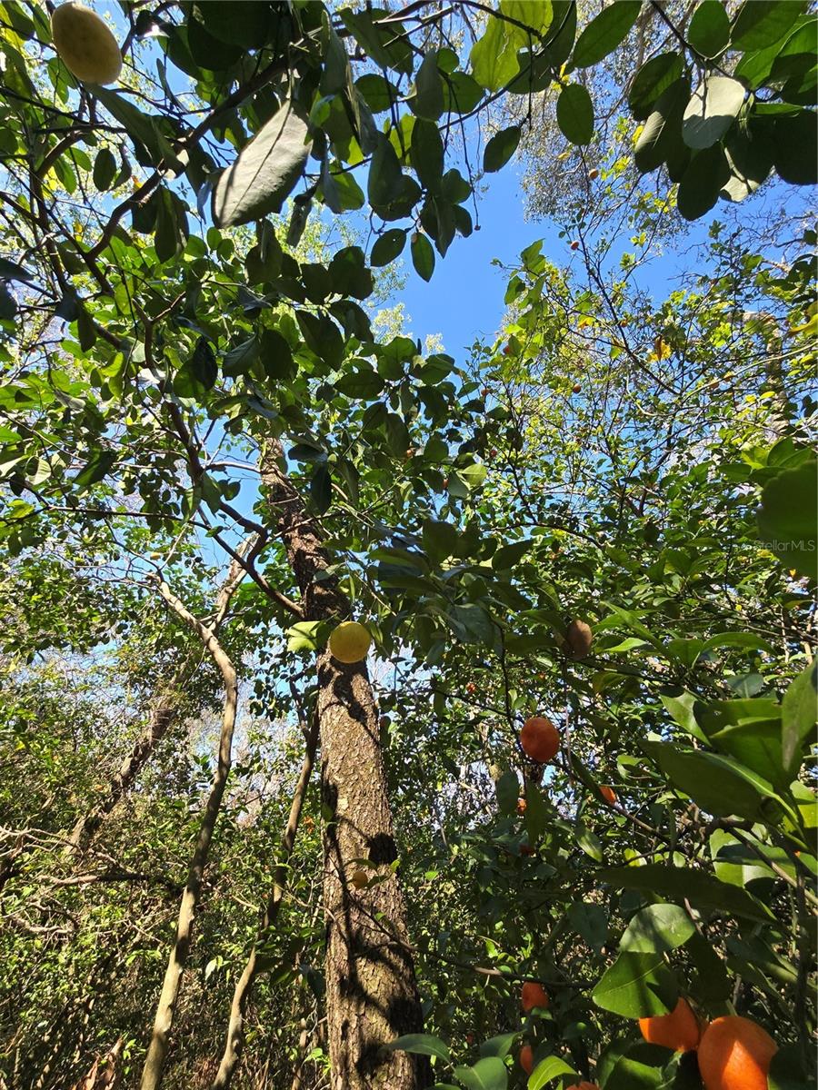 UNINCORPORATED - Land