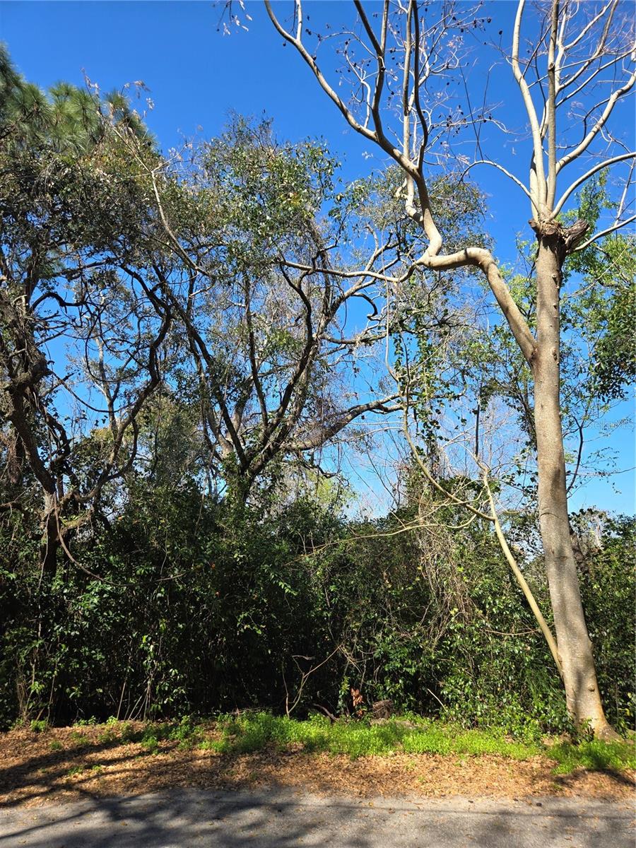 UNINCORPORATED - Land