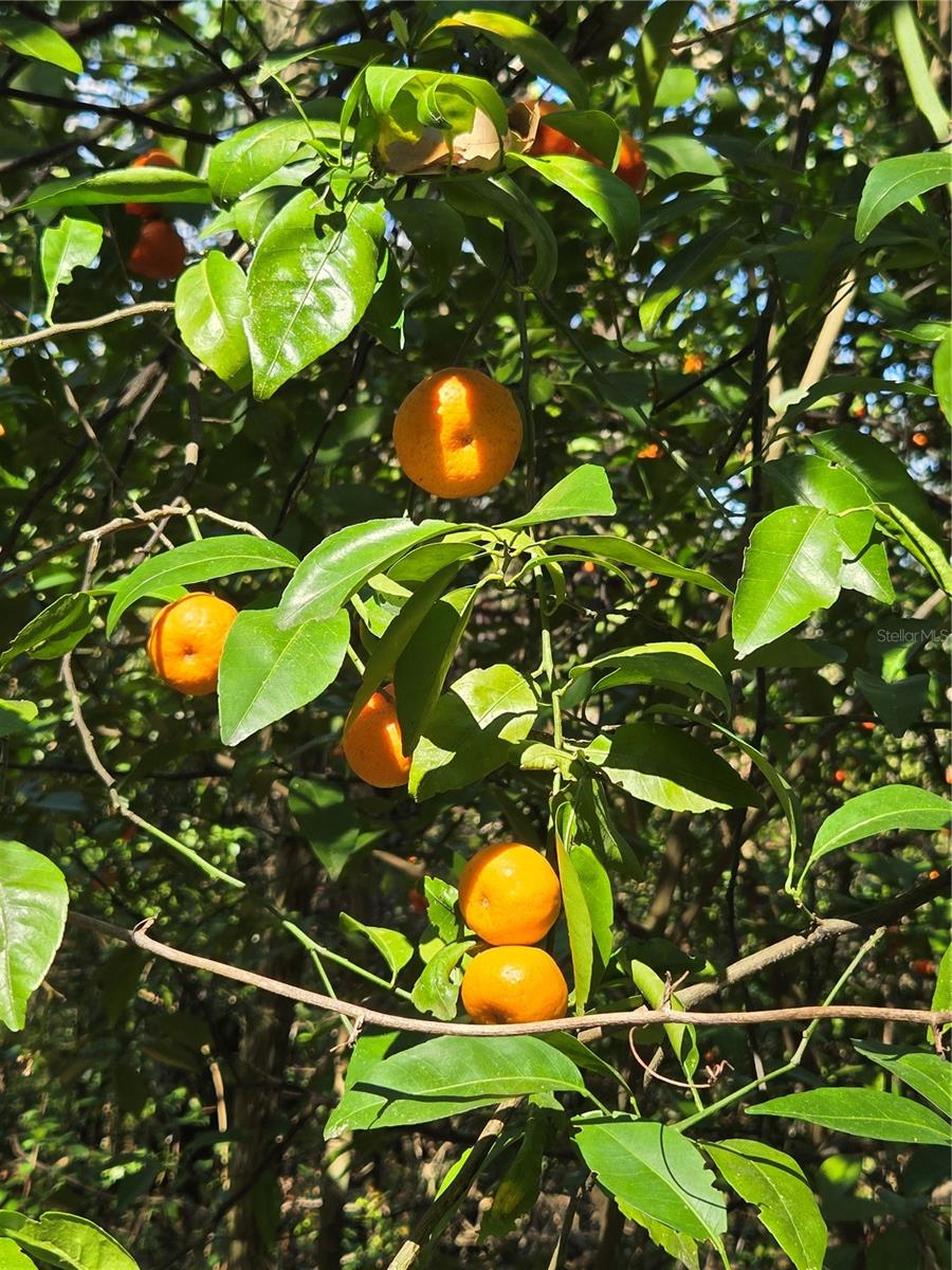 UNINCORPORATED - Land