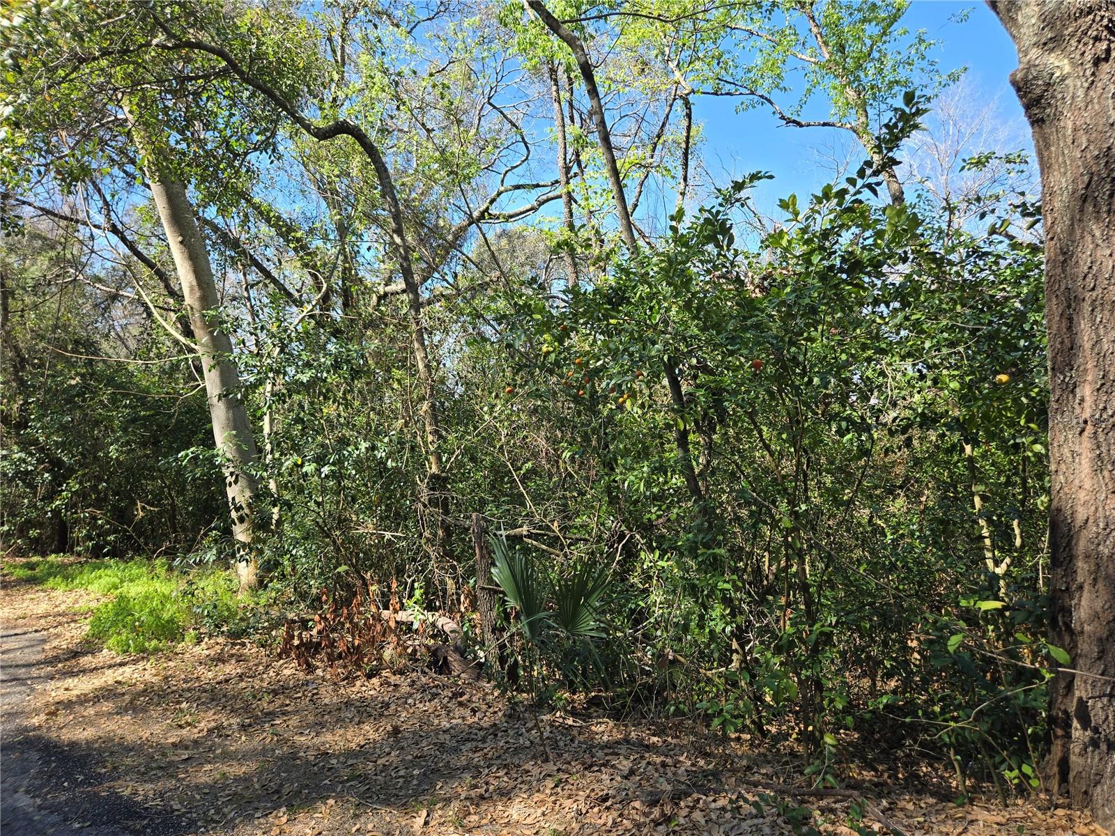 UNINCORPORATED - Land