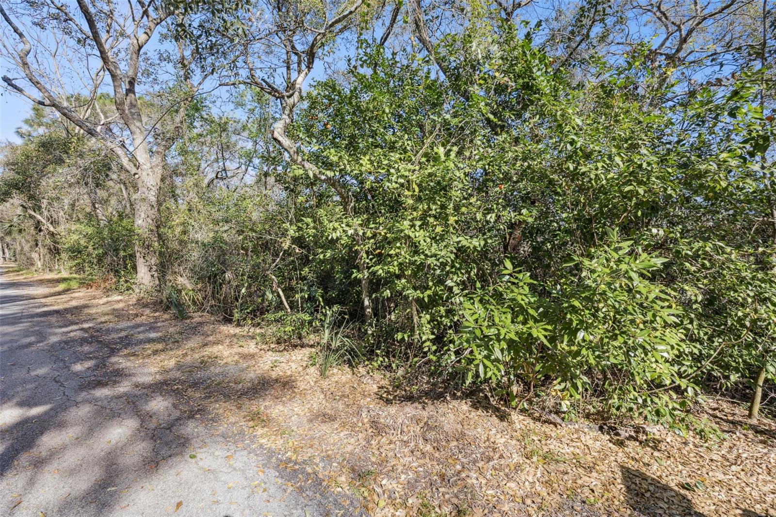 UNINCORPORATED - Land