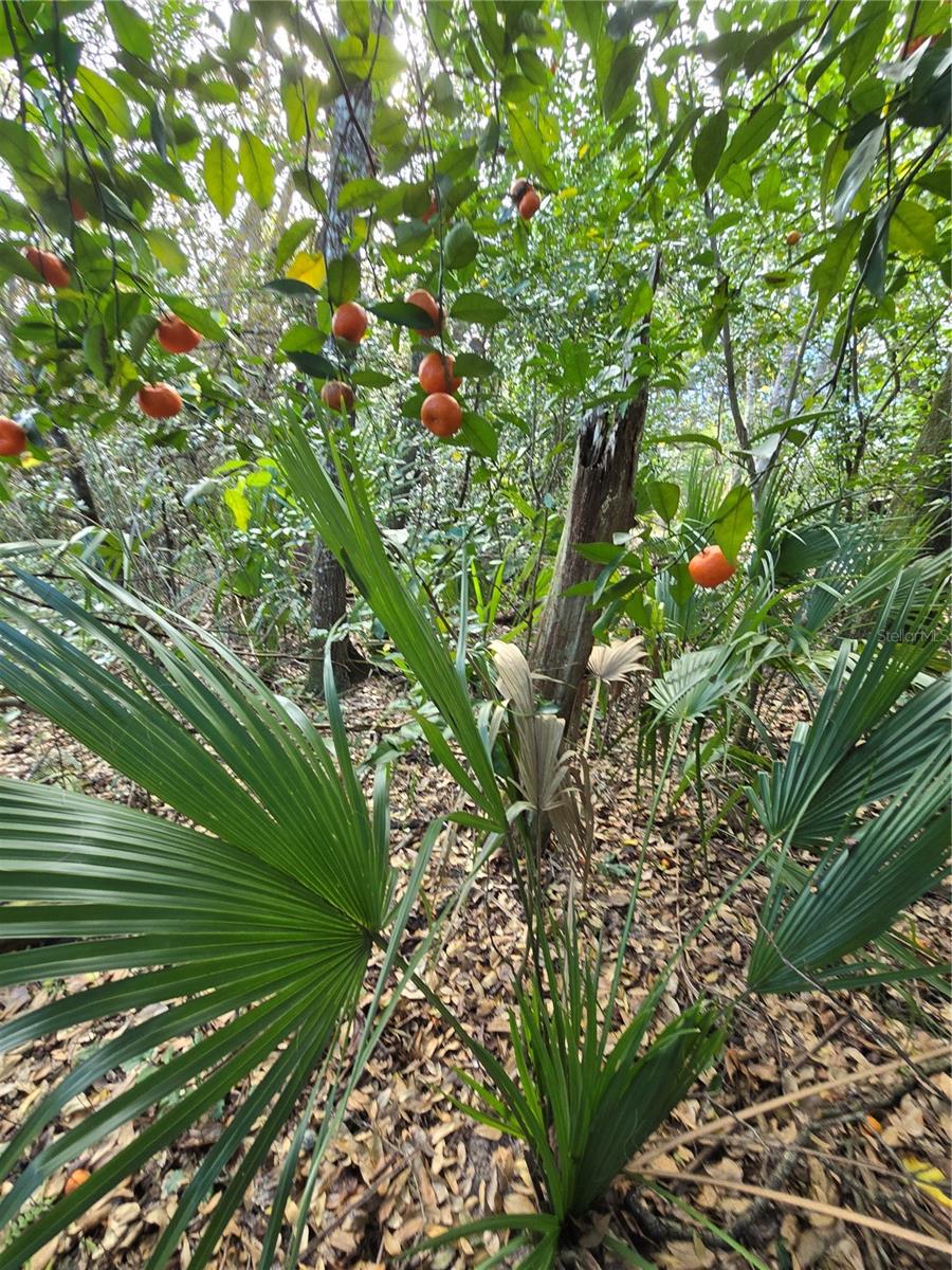 UNINCORPORATED - Land