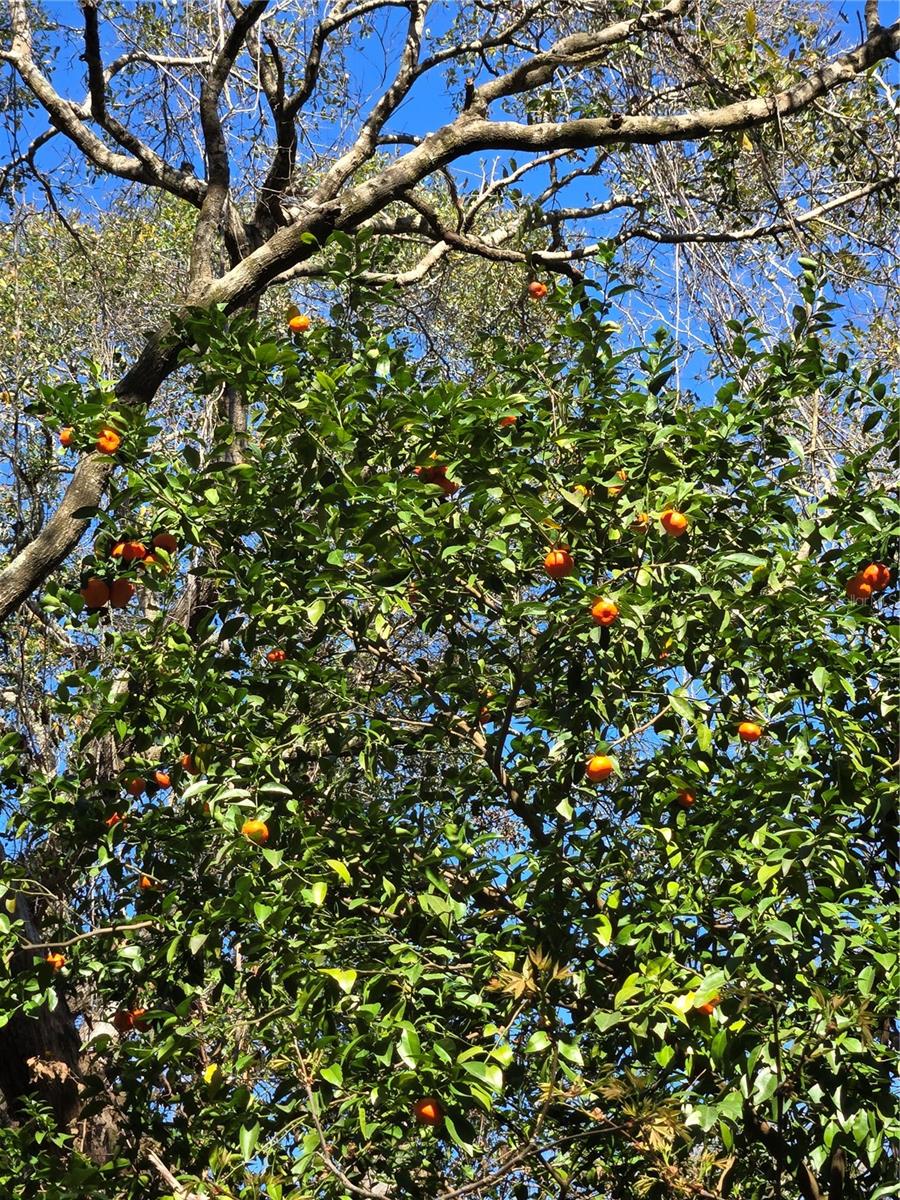 UNINCORPORATED - Land