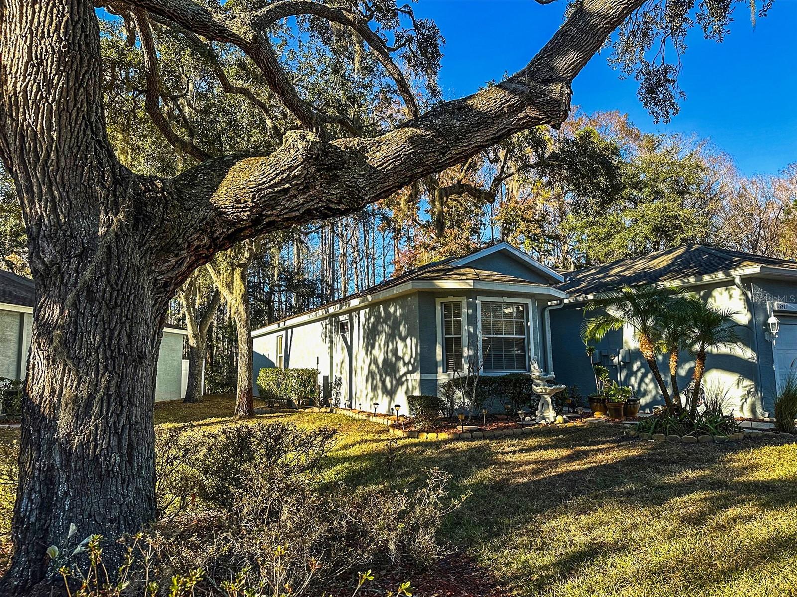 12411 CAVALIER COURT