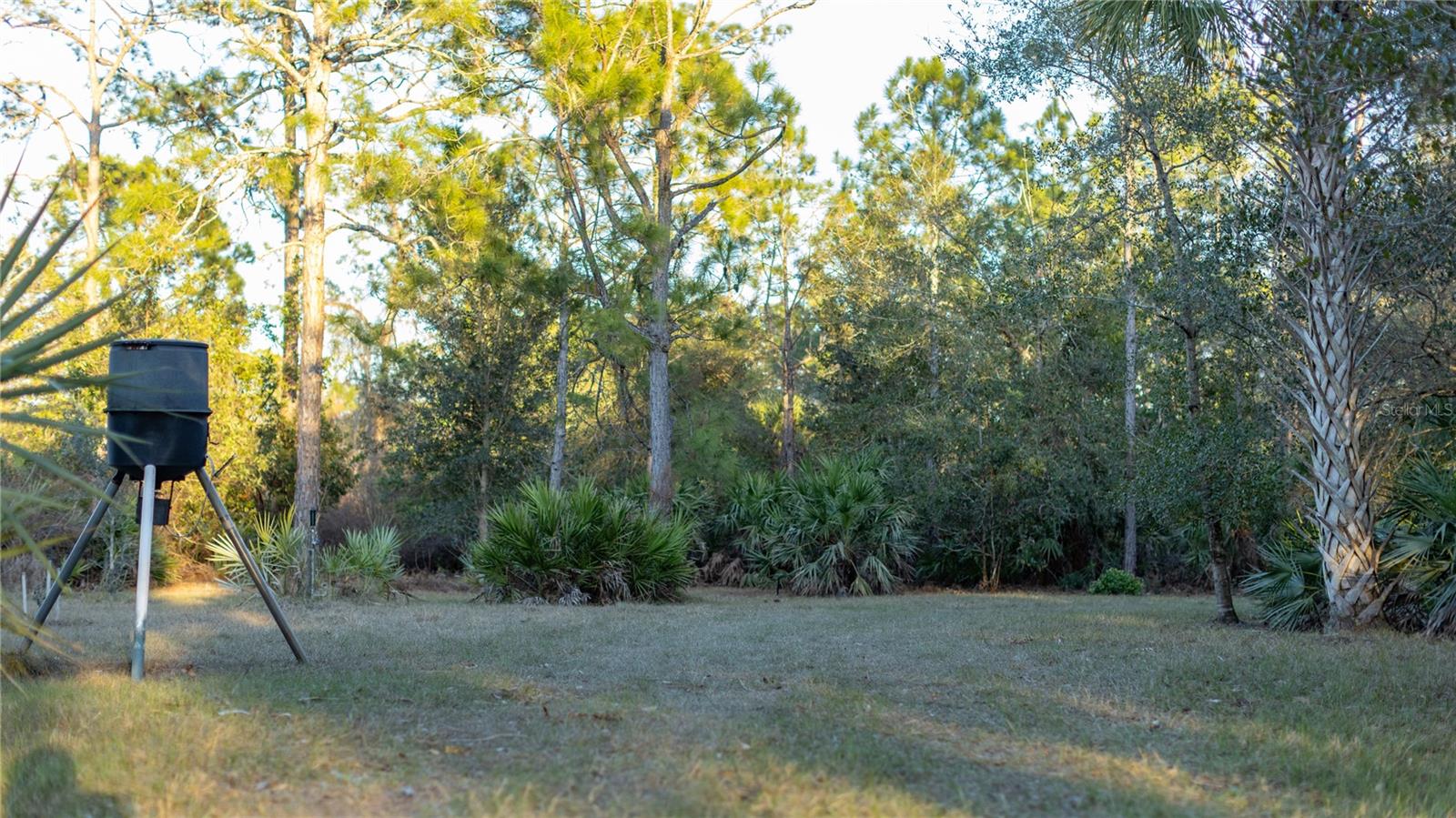 INDIAN HAMMOCK HUNT & RIDING - Land