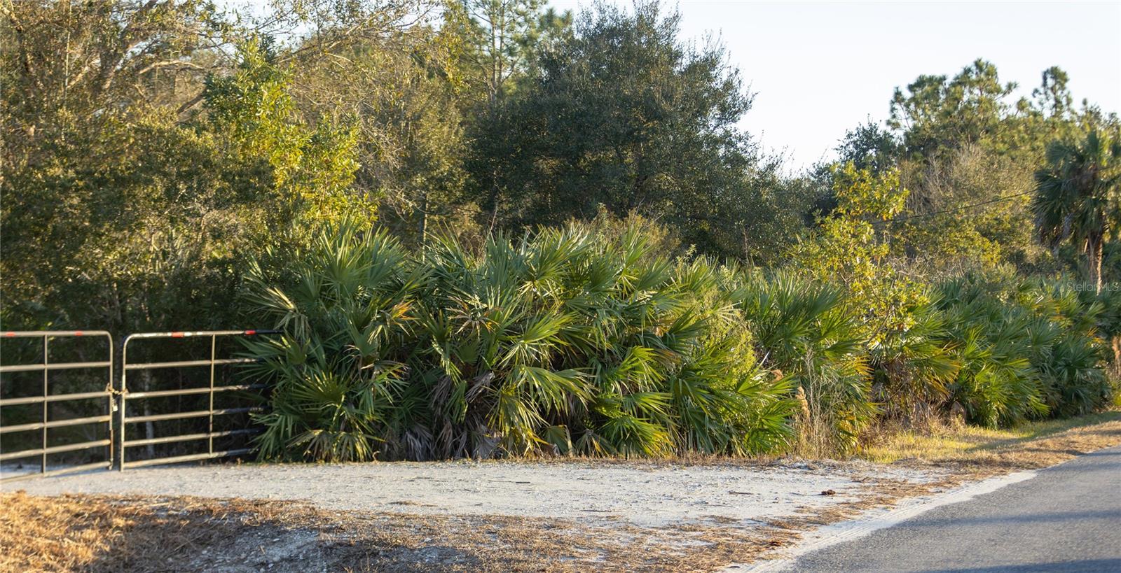 INDIAN HAMMOCK HUNT & RIDING - Land