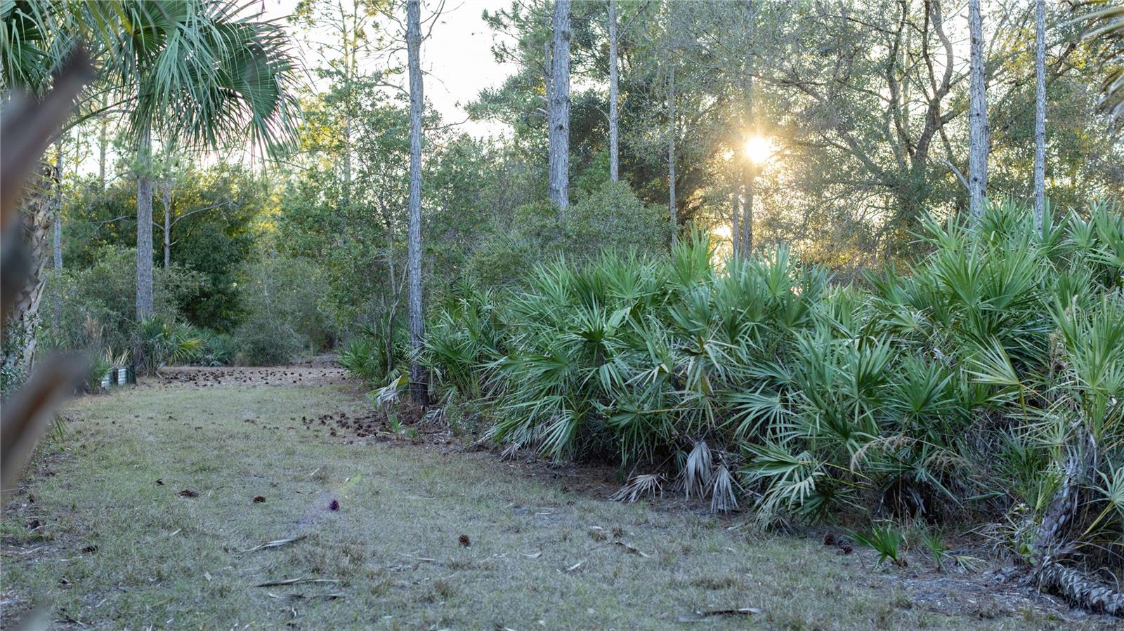 INDIAN HAMMOCK HUNT & RIDING - Land