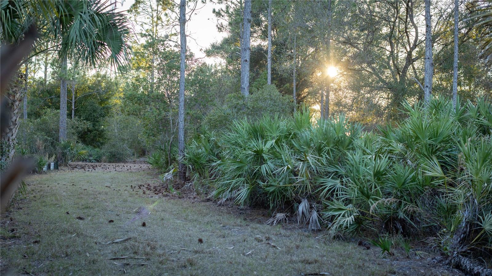 INDIAN HAMMOCK HUNT & RIDING - Land