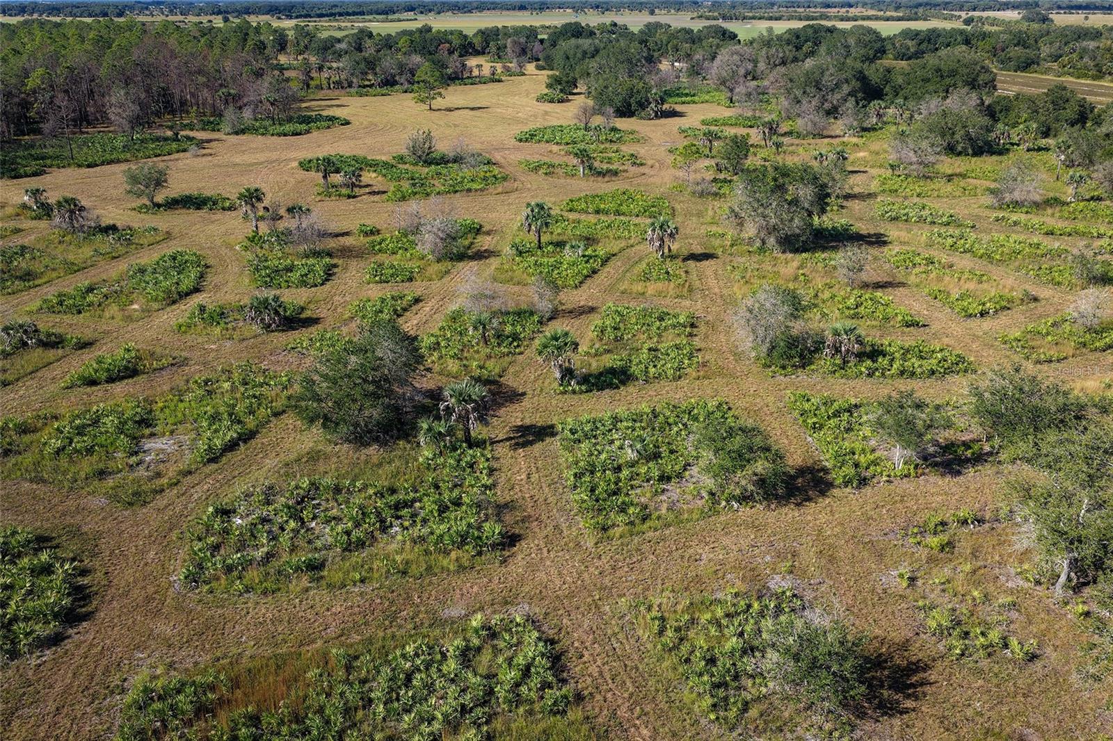 INDIAN HAMMOCK HUNT & RIDING - Land