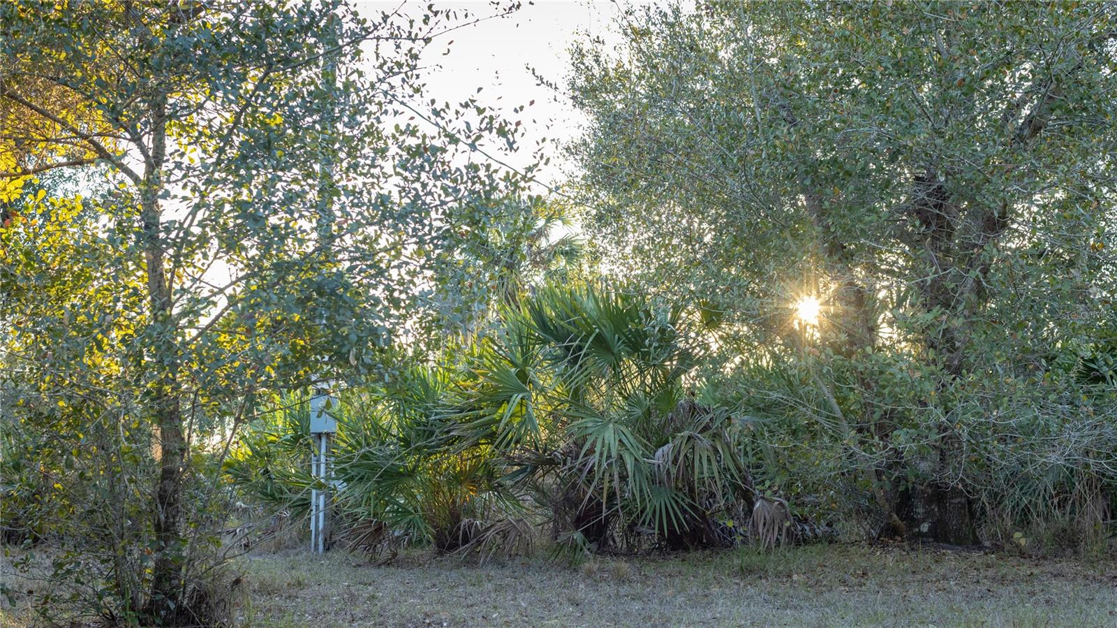 INDIAN HAMMOCK HUNT & RIDING - Land