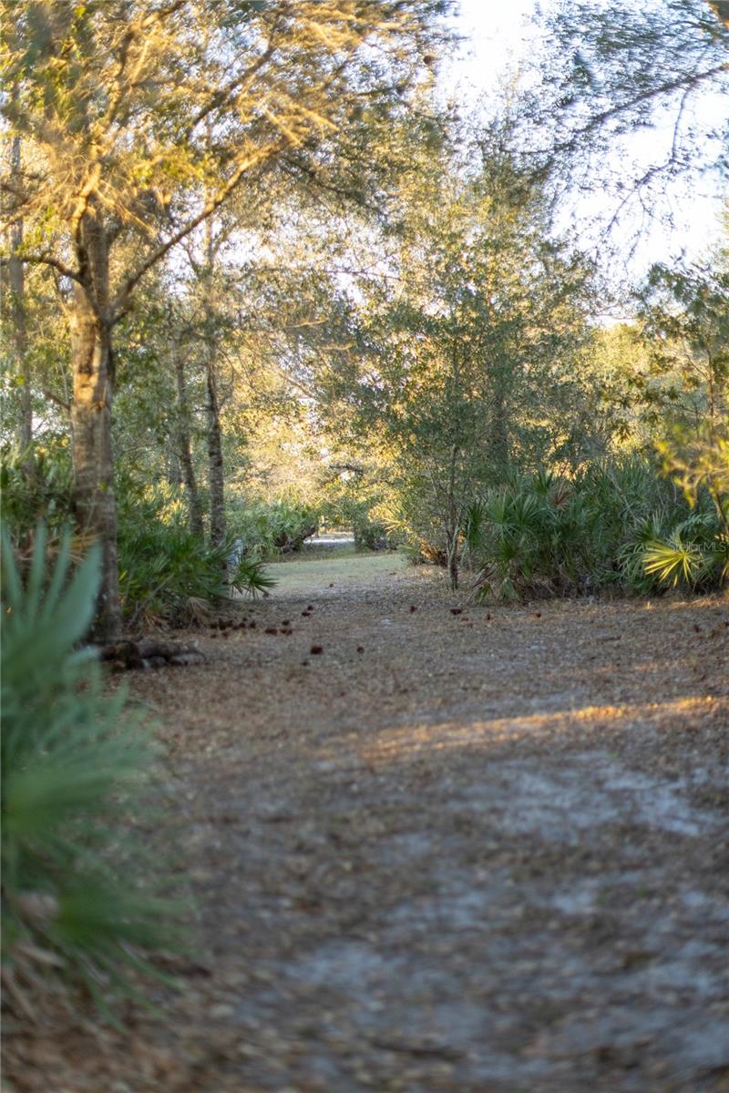 INDIAN HAMMOCK HUNT & RIDING - Land