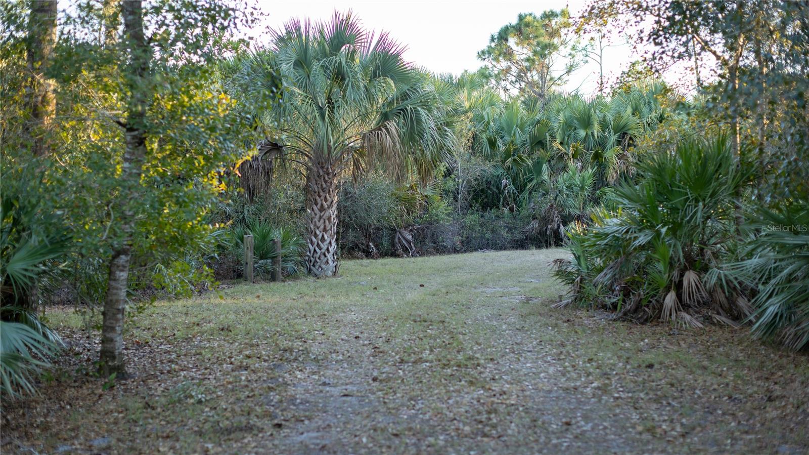 INDIAN HAMMOCK HUNT & RIDING - Land