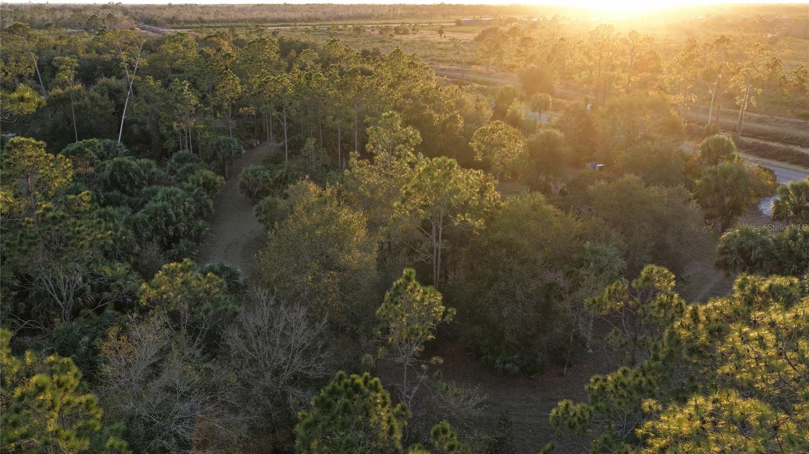 INDIAN HAMMOCK HUNT & RIDING - Land