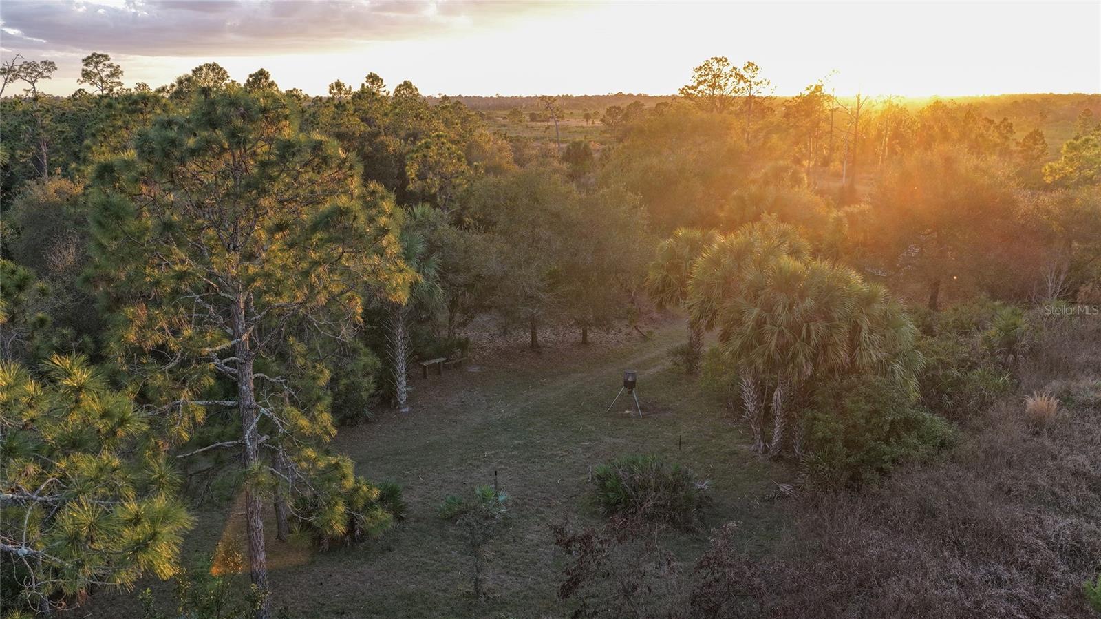 INDIAN HAMMOCK HUNT & RIDING - Land