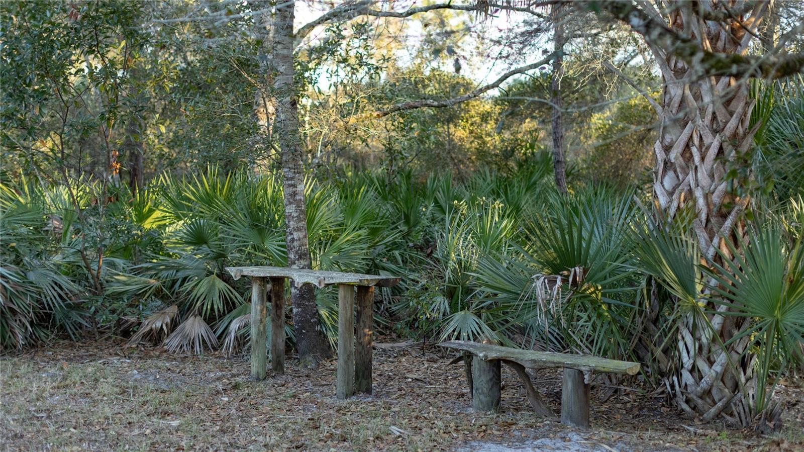 INDIAN HAMMOCK HUNT & RIDING - Land