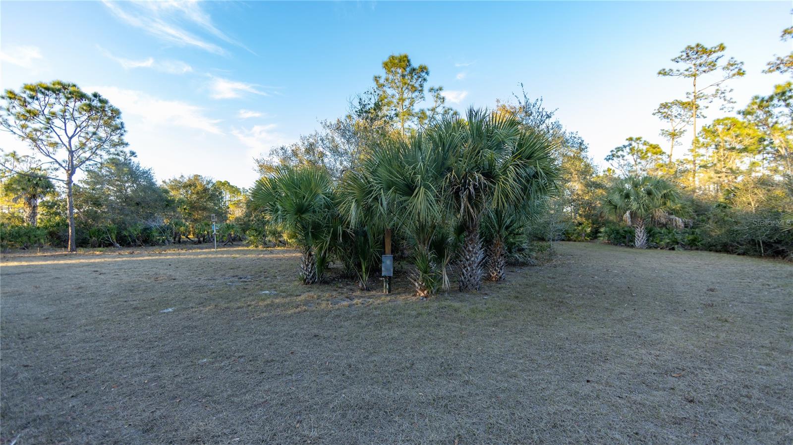 INDIAN HAMMOCK HUNT & RIDING - Land