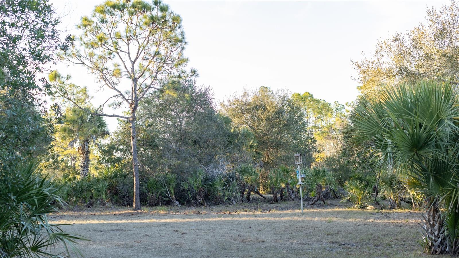 INDIAN HAMMOCK HUNT & RIDING - Land