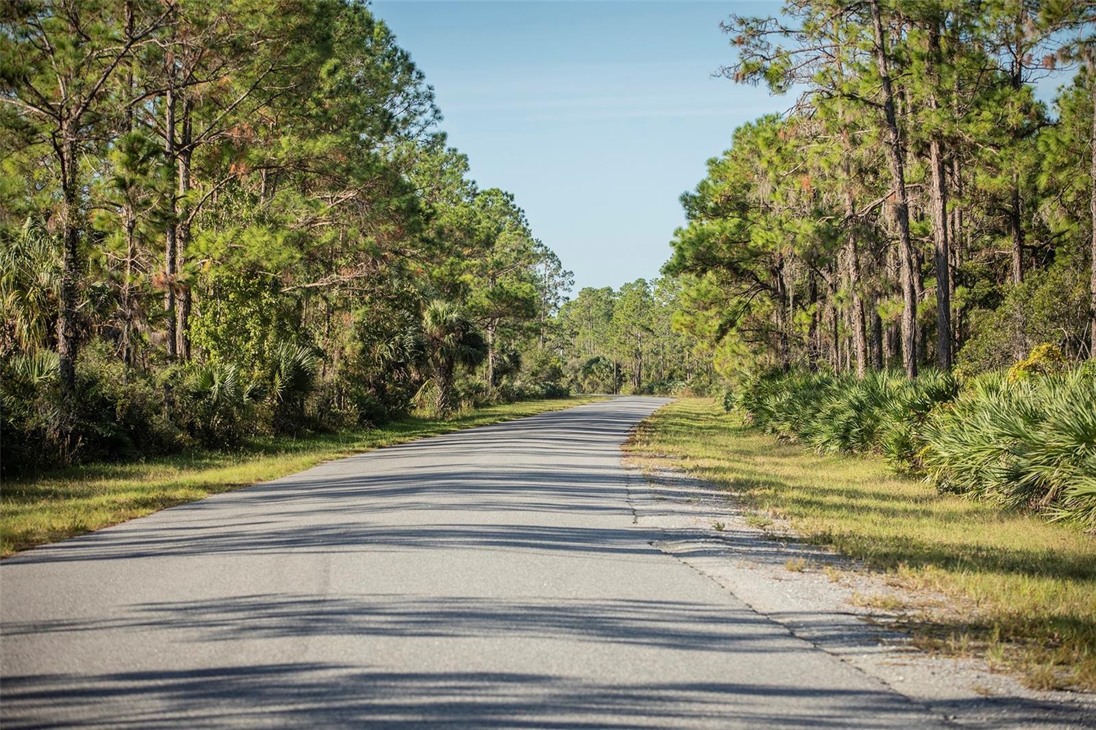 INDIAN HAMMOCK HUNT & RIDING - Land