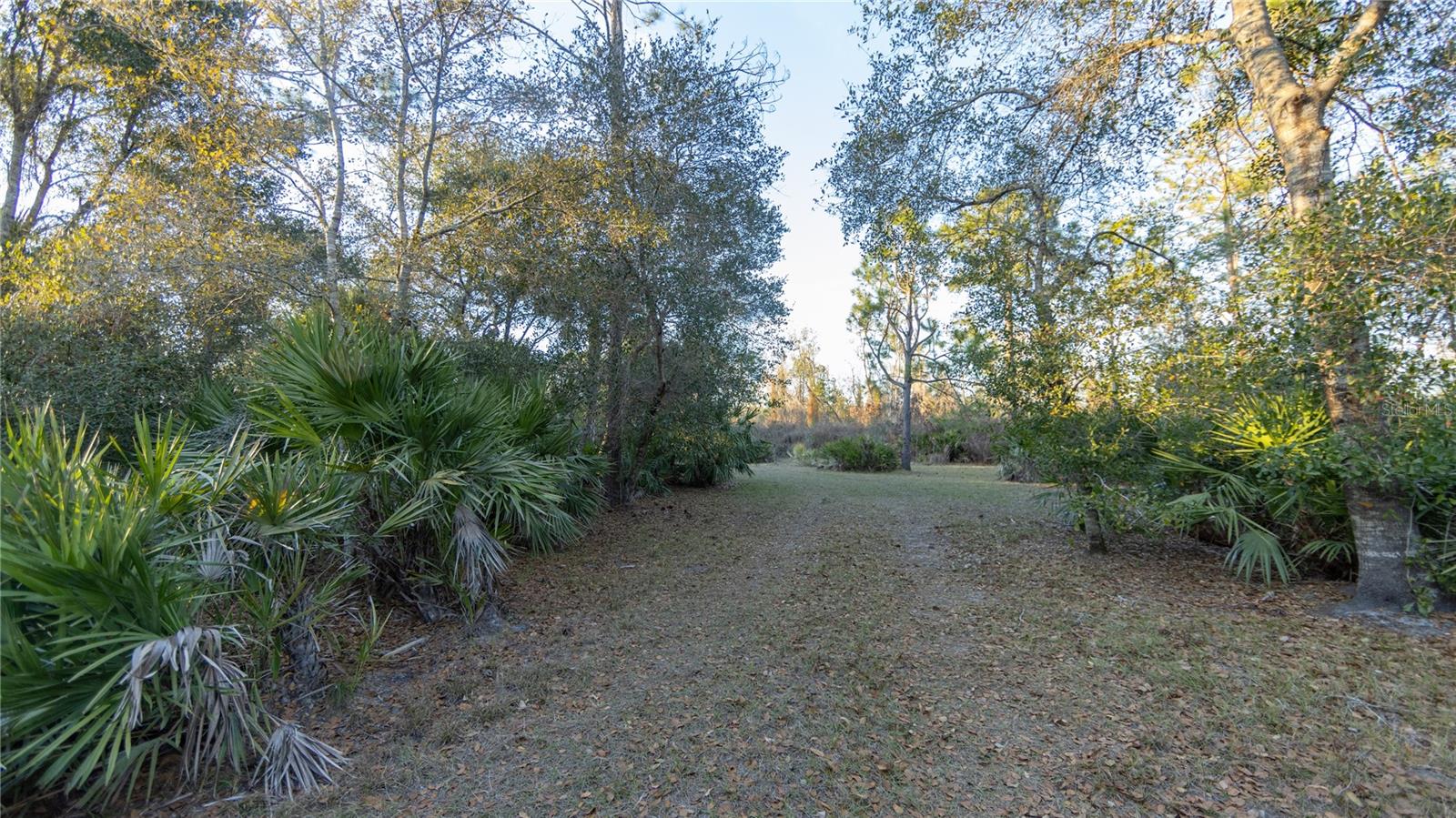 INDIAN HAMMOCK HUNT & RIDING - Land