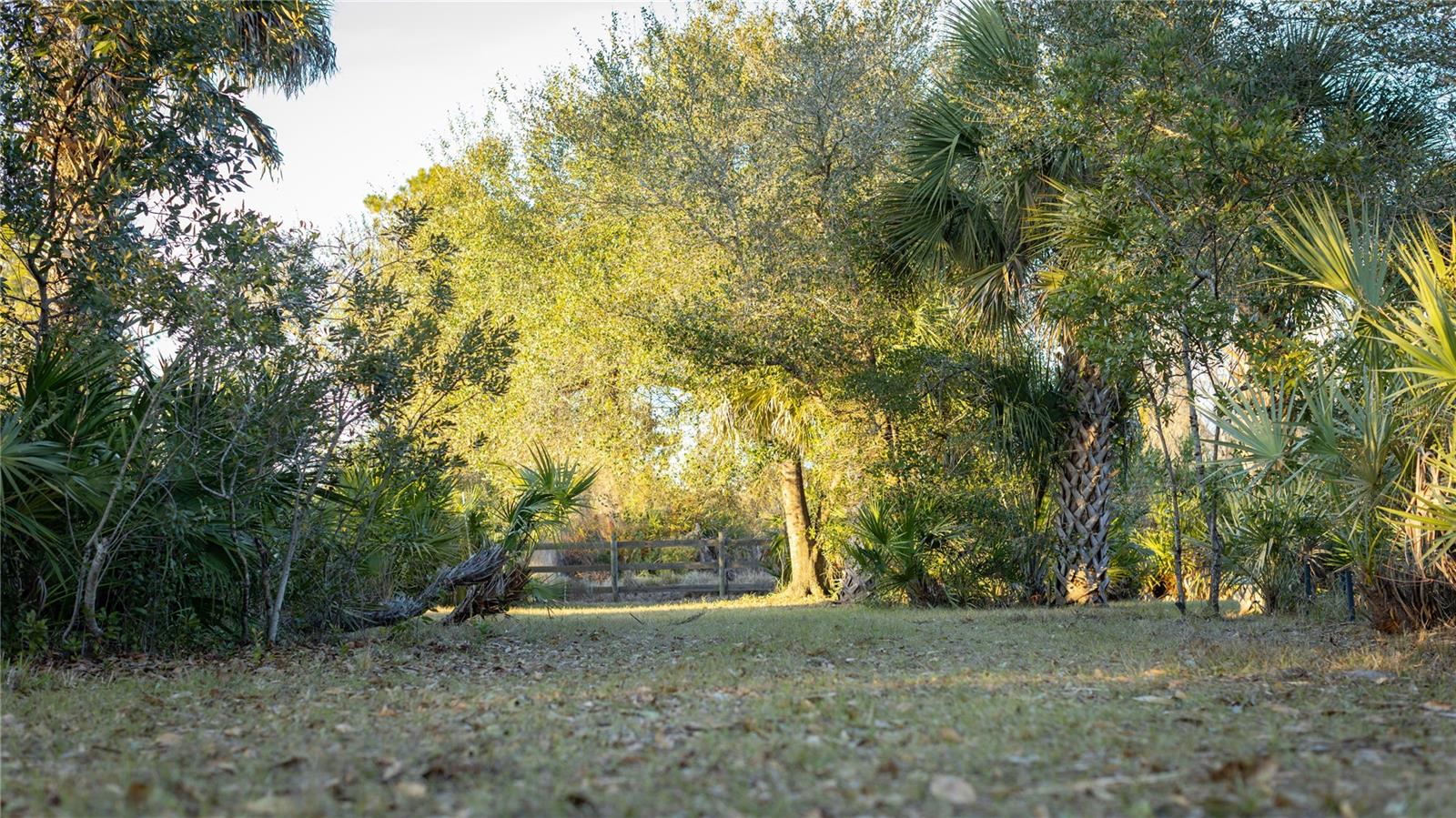 INDIAN HAMMOCK HUNT & RIDING - Land