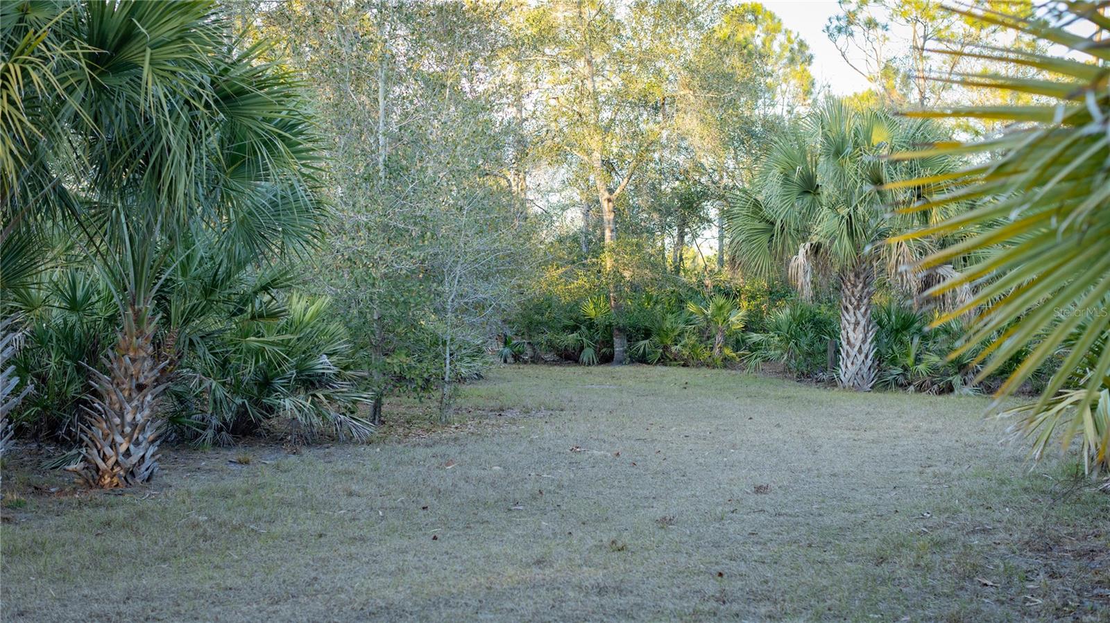 INDIAN HAMMOCK HUNT & RIDING - Land