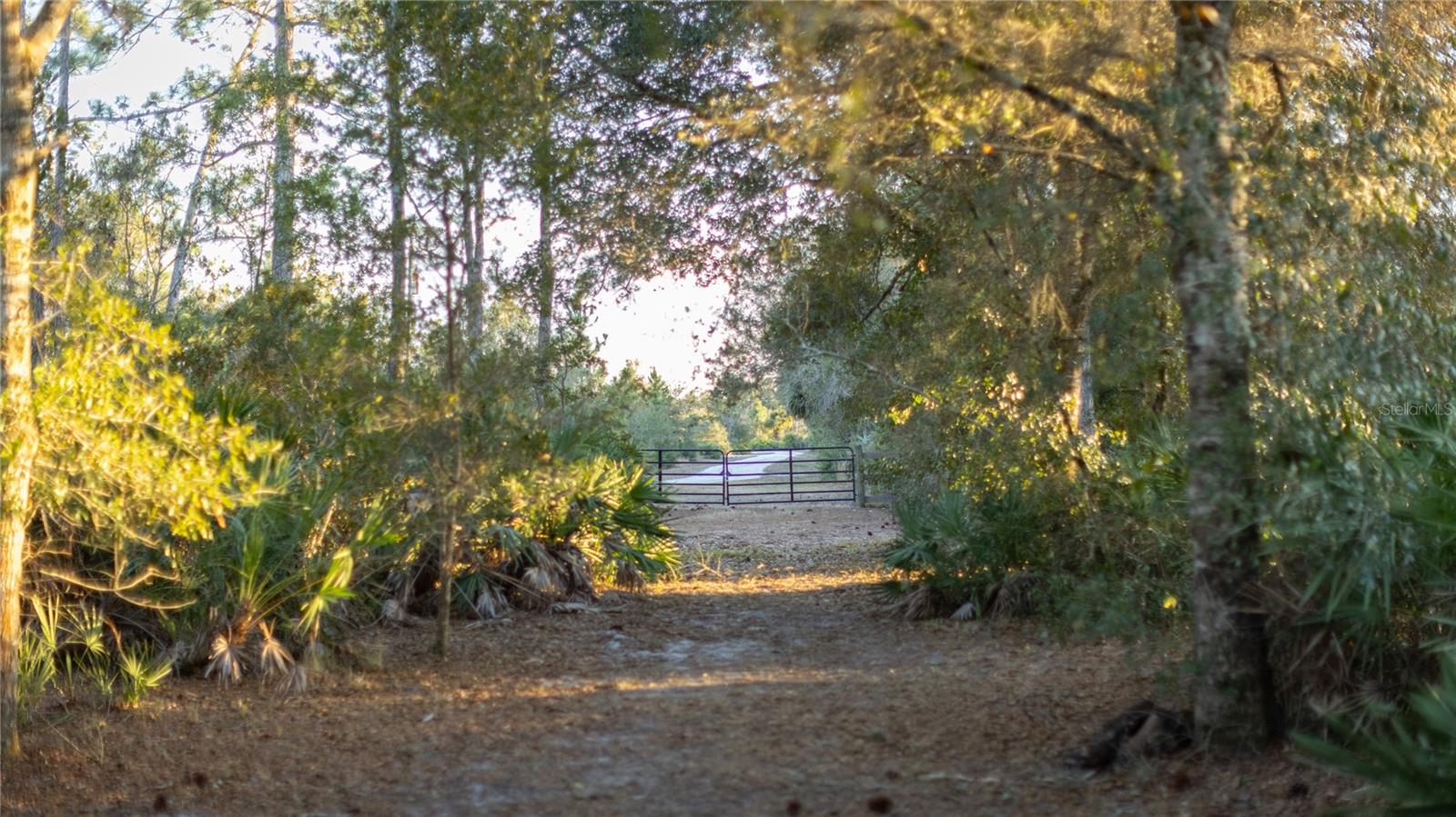 INDIAN HAMMOCK HUNT & RIDING - Land