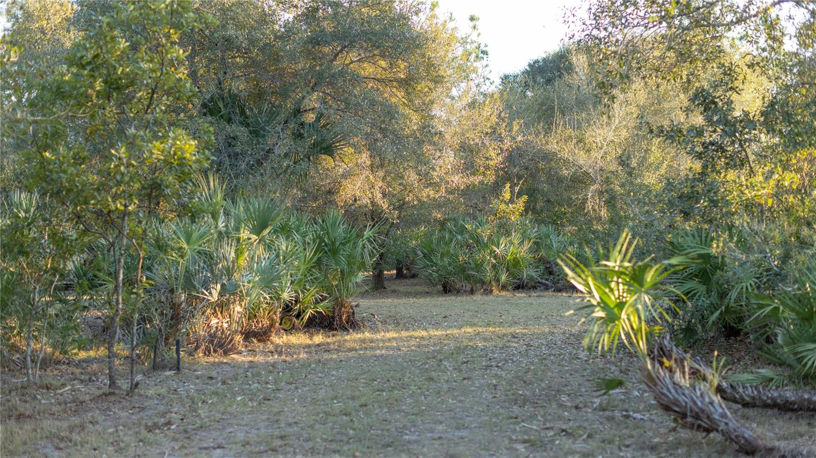 INDIAN HAMMOCK HUNT & RIDING - Land
