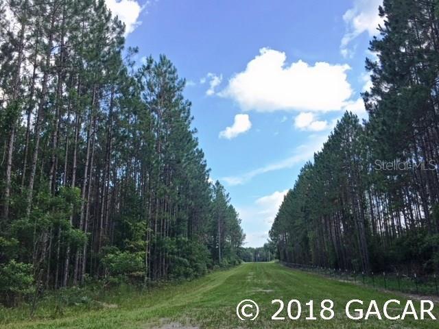A great 10 acre parcel located between High Springs and Ft White on a quiet grassy lane surrounded by peace and quiet! The property has planted pines that are close to being ready to harvest or thin and many large hardwoods towards the back - this would make a great home site for your piece of paradise! The adjacent 10 acres is also available for a total of 20 acres and total price of $95,900 MLS# 415942 Come take a look soon! Open Builder.