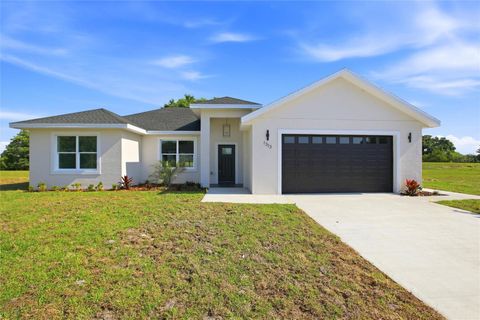 Photo of 1313 Blue Heron Drive, Sebring, FL 33876 (MLS # P4938438)