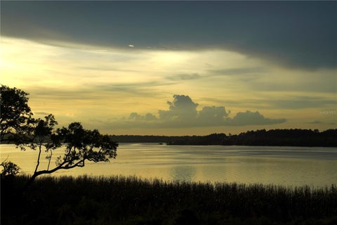 Tiny photo for 17854 Hither Hills Circle, Winter Garden, FL 34787 (MLS # O6428247)