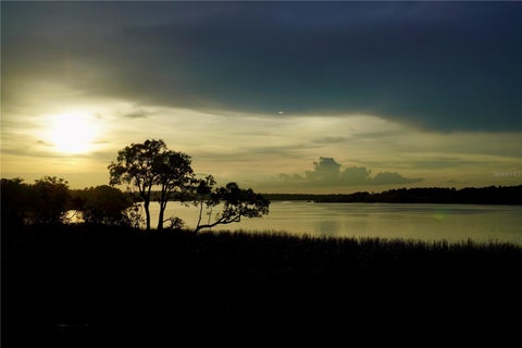 Tiny photo for 17854 Hither Hills Circle, Winter Garden, FL 34787 (MLS # O6428247)