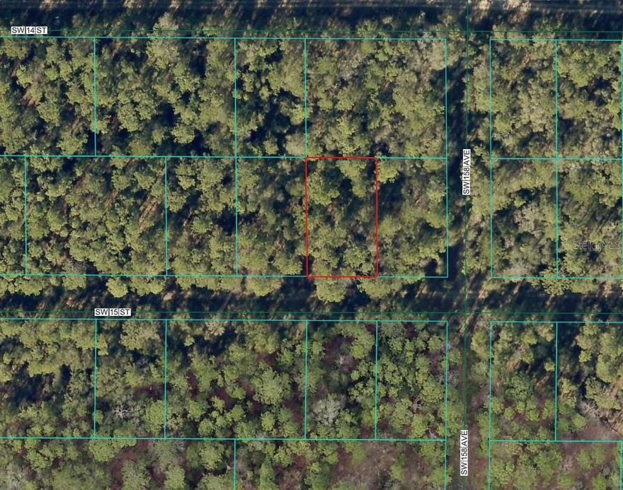 Check out and purchase this QUARTER ACRE LOT in Florida's fastest-growing city! This ELEVATED and DRY parcel offers a solid foundation; perfect for your future construction projects. Ideal for investors and buyers looking to secure an investment opportunity and capitalize on rapid SUBURBAN growth!