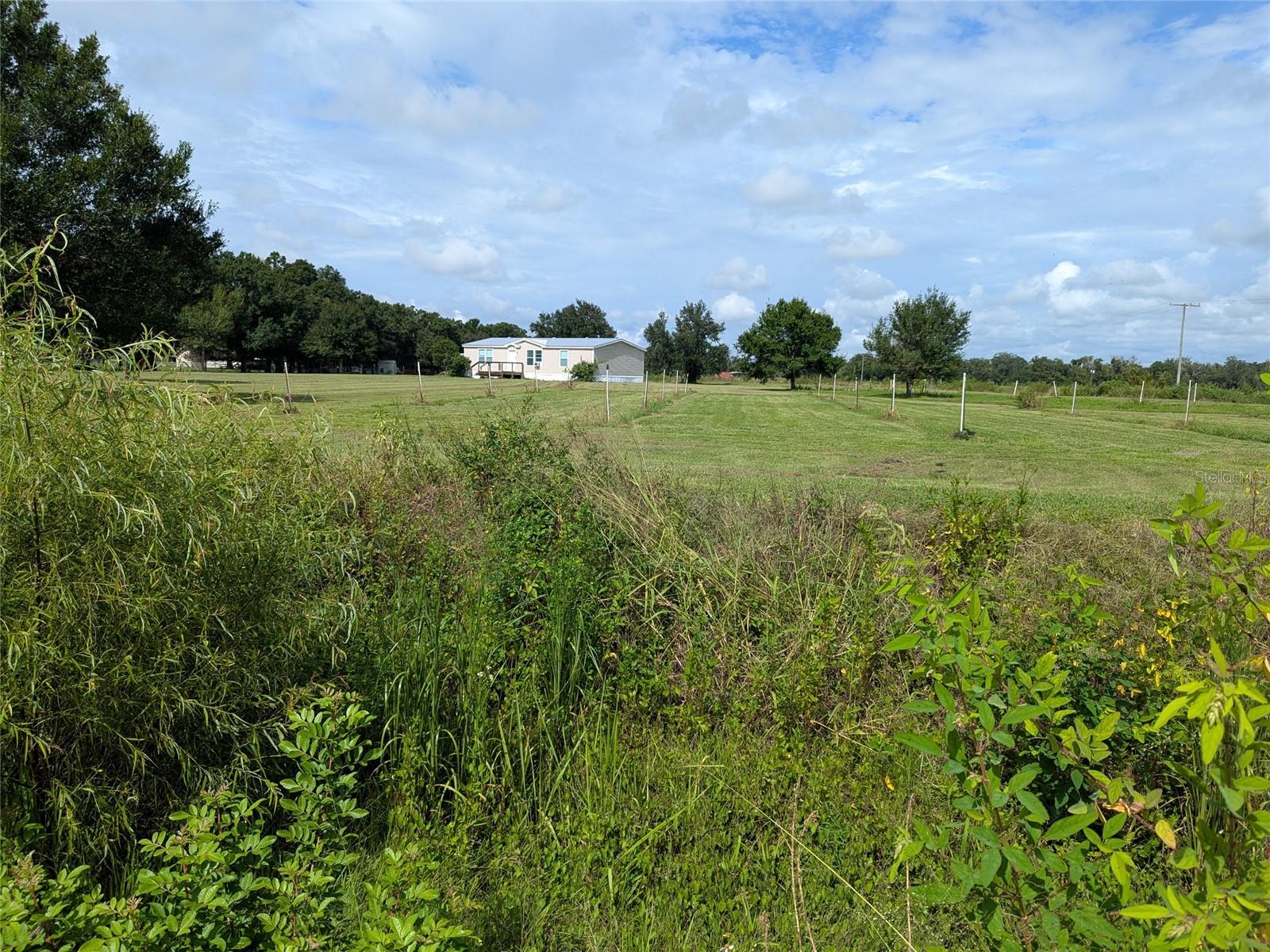 TOWN/BELLEVIEW - Residential