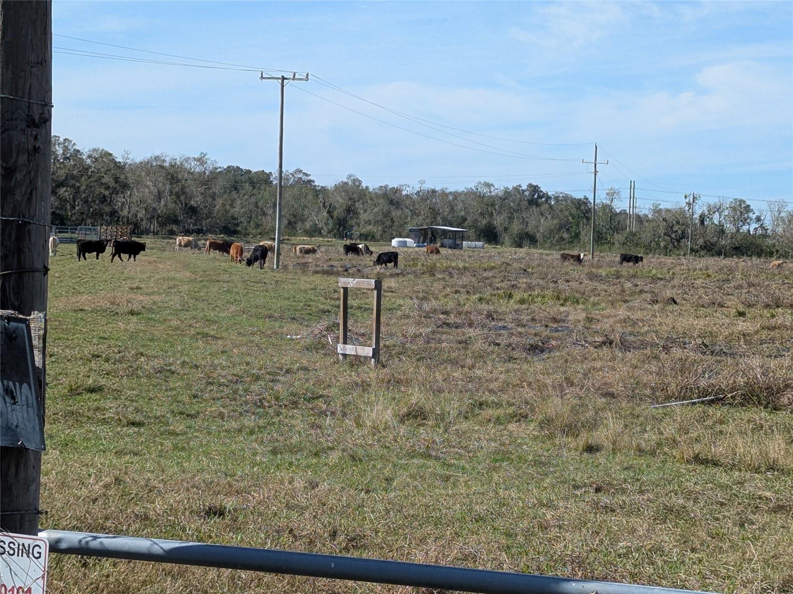 TOWN/BELLEVIEW - Residential