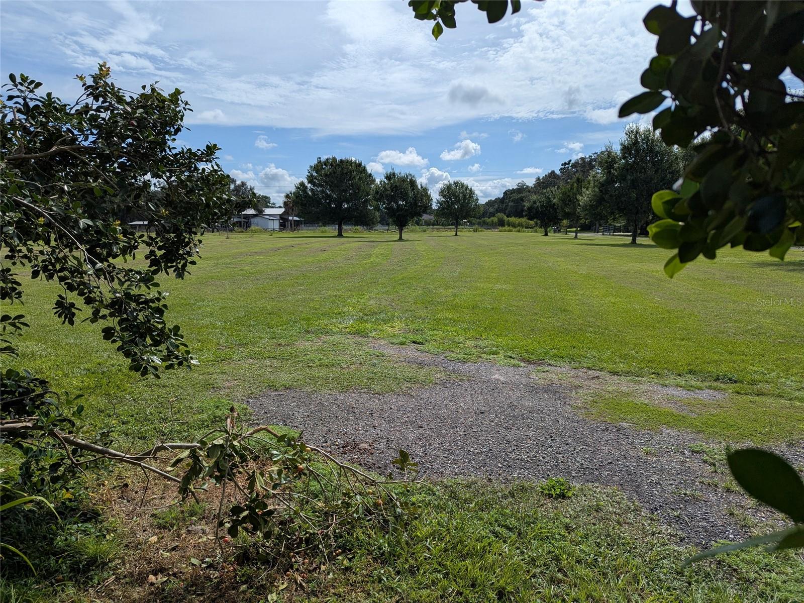 TOWN/BELLEVIEW - Residential