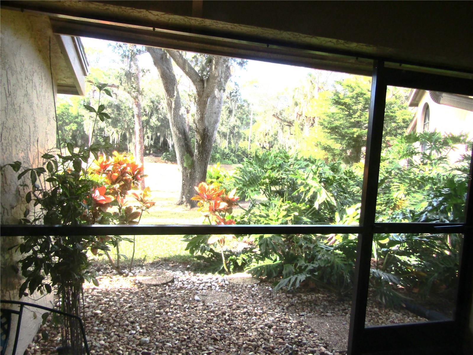 MORNINGSIDE - Residential Lease