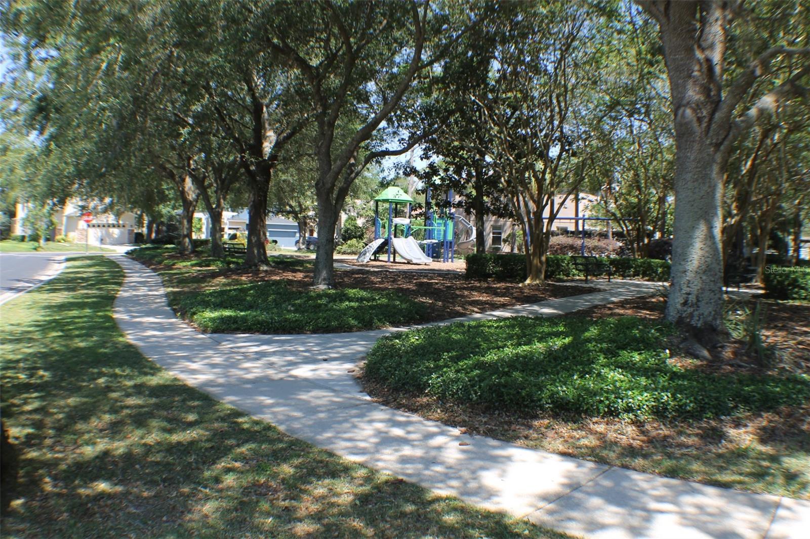 2320 SPRING HOLLOW LOOP