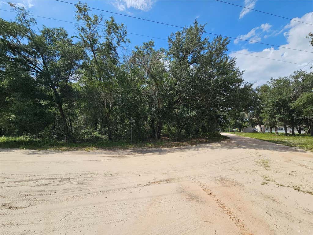 Photo of SE 171st Lane, Weirsdale, FL 32195 (MLS # OM728925)